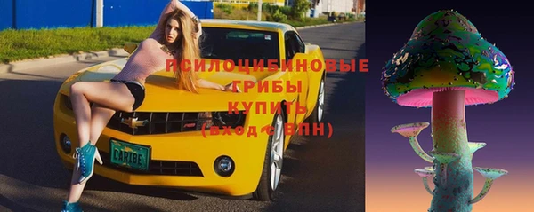 PSILOCYBIN Надым