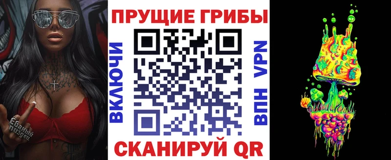 мега как войти  сайты даркнета состав  Псилоцибиновые грибы ЛСД  Власиха 